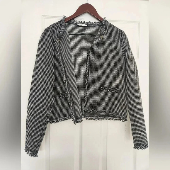 IBlues Sheer Organza Blazer Jacket sz M - Picture 2 of 9